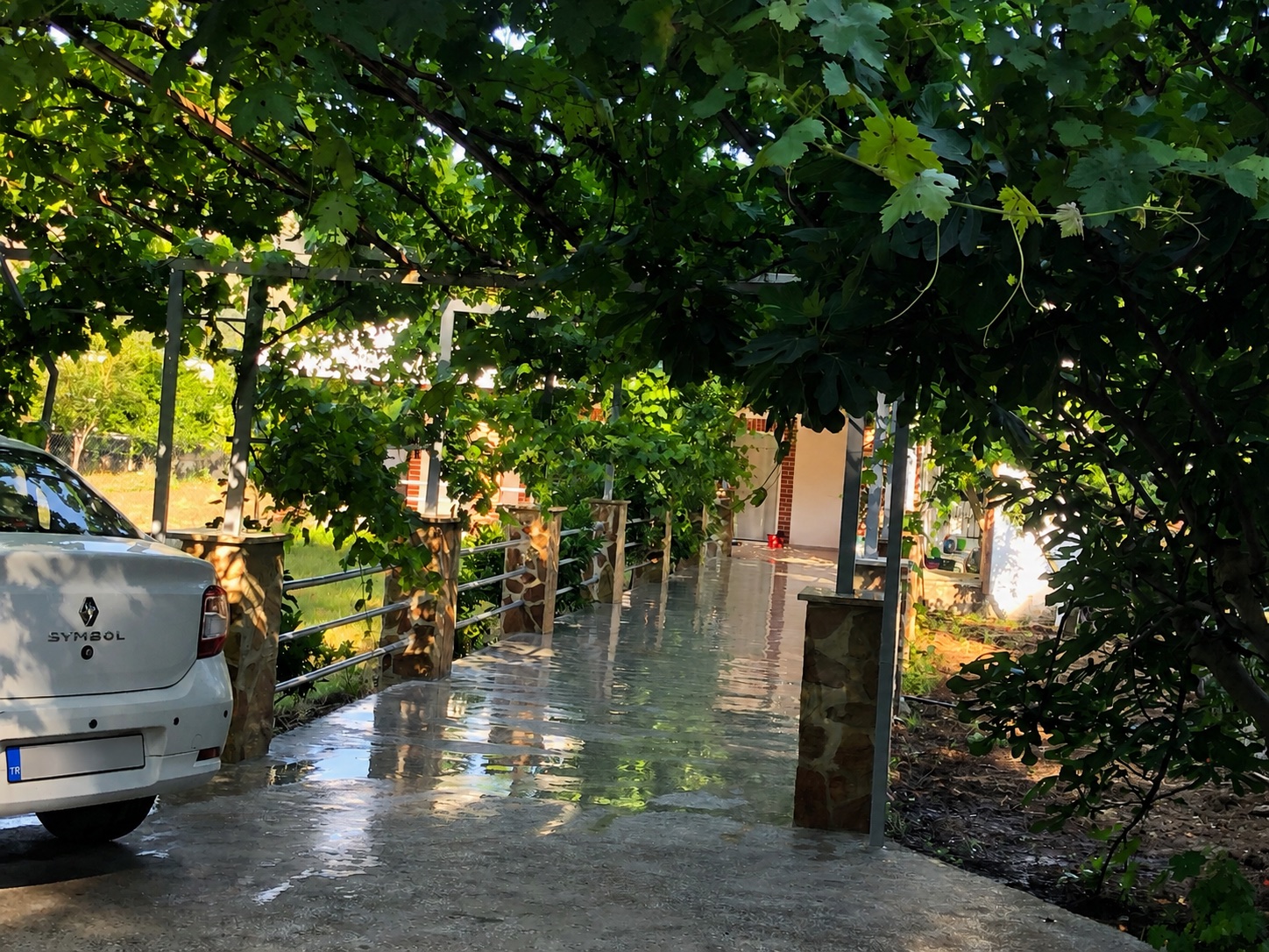 Bahçe girişi — Asmaların altında eve uzanan özel giriş