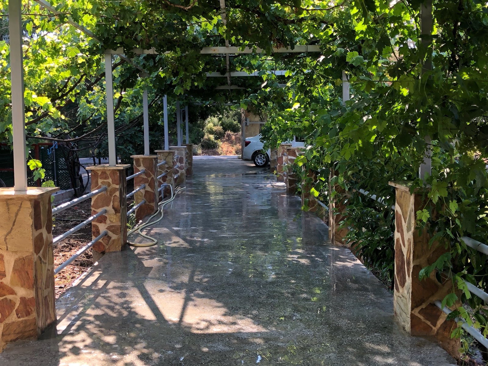 Özel otopark — Bahçe içindeki uzun, gölgeli araç yolu